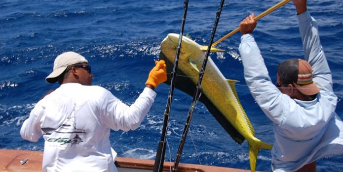 Private Fishing Charter in Miami2
